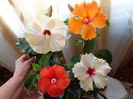 DSC01460