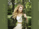 Taylor Swift (11)