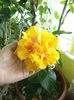 DSC05059