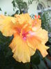 DSC05061