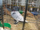 DSCF1693