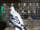 DSCF1697