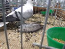 DSCF1702