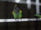 DSCF1761