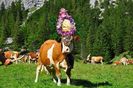 Vaca impodobita ca lumea