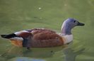 IMG_9904