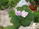 DSCF8182