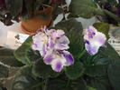 DSCF8190