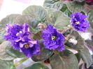 DSCF8192