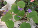 DSCF8199
