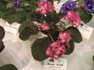 DSCF8215