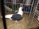 DSC05989