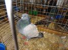 DSC05995