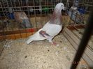 DSC06008