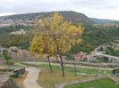 VELIKO TARNOVO (78)