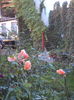 DSC08285
