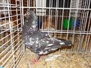 DSC06435