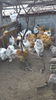 20151118_153456