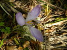 DSCN2240