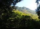 DSCN2260