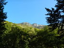 DSCN2261