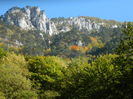 DSCN2262