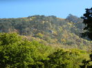DSCN2269
