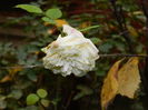 DSCN4027
