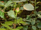 DSCN4028