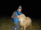 Picture 1384