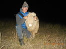 Picture 1381