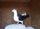 RIMG0232