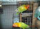 DSCN0006