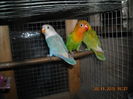 DSCN0008
