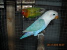 DSCN0010