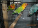 DSCN0011