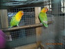DSCN0013