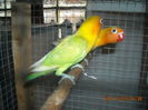 DSCN0014