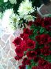 IMG_20151121_100402