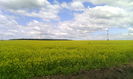 IMG_20150528_133357