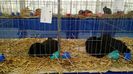 IMG_20151121_130145826