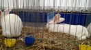 IMG_20151121_130212092
