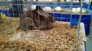 IMG_20151121_130325089