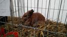 IMG_20151121_130403457