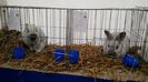 IMG_20151121_130426794
