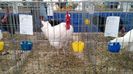 IMG_20151121_130528840