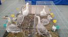 IMG_20151121_130721914