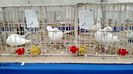 IMG_20151121_130840484_HDR