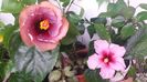 20151122_101217