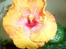 035